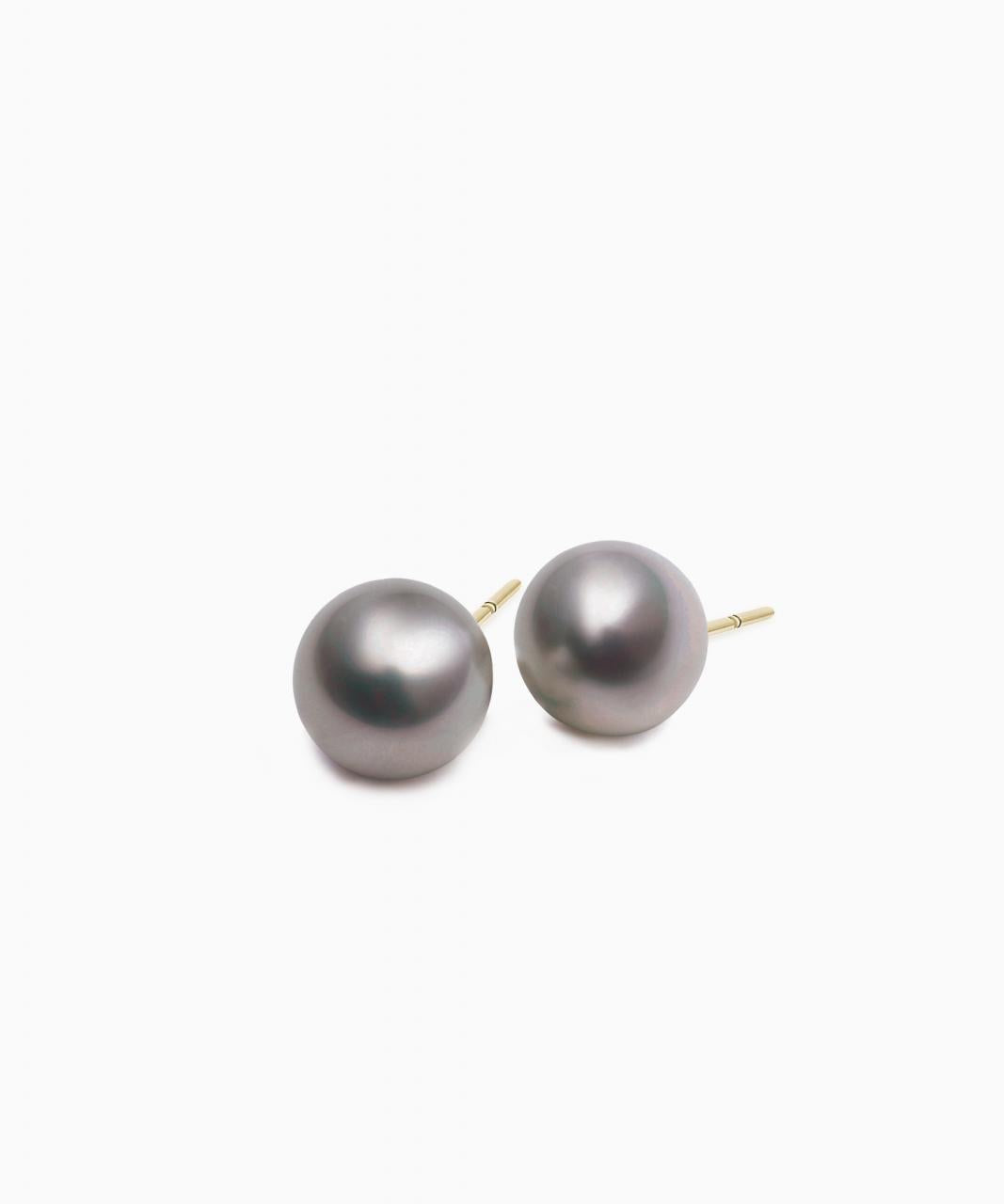 Tahitian South Sea Pearl Stud Earrings, Yellow Gold