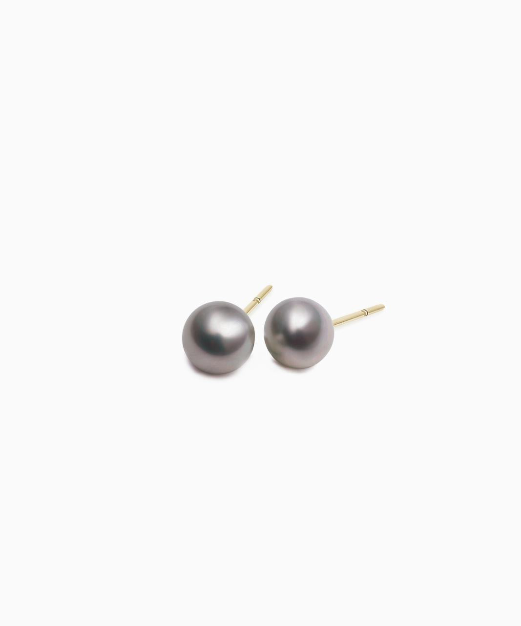 Tahitian South Sea Pearl Stud Earrings, Yellow Gold