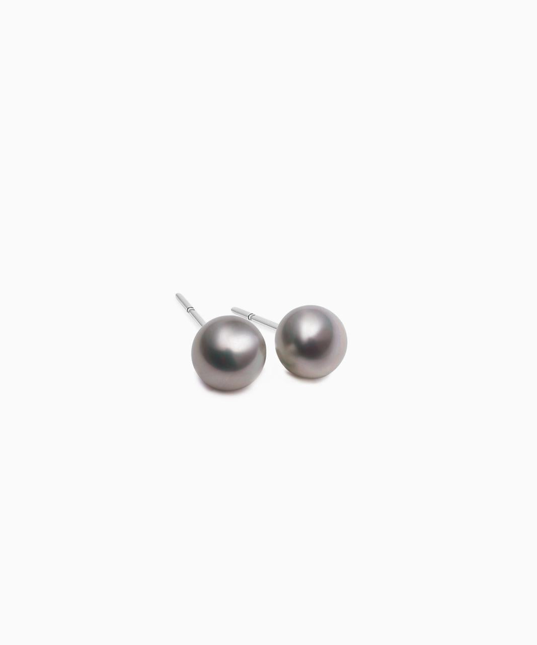 Tahitian South Sea Pearl Stud Earrings, White Gold