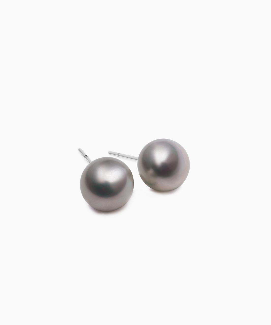 Tahitian South Sea Pearl Stud Earrings, White Gold